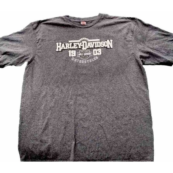 Harley-Davidson Other - Vintage Y2K Harley Davidson T-Shirt 3X
